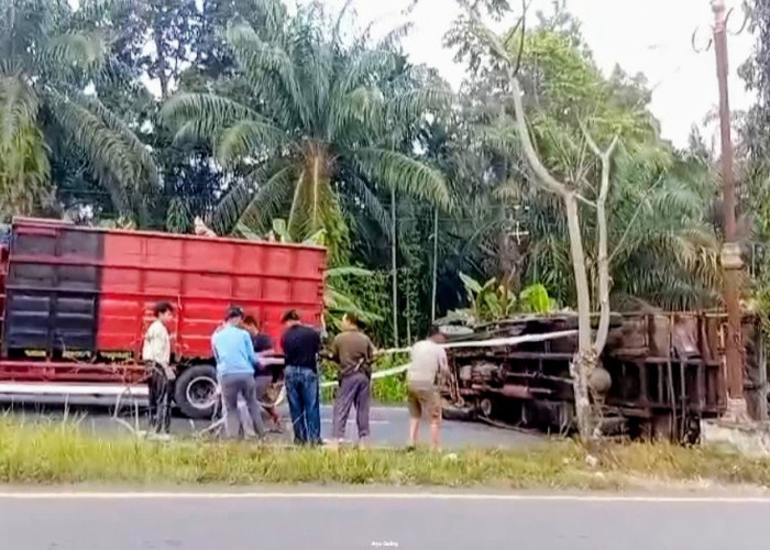 Gagal Menanjak, Truk Muatan 10 Ton Semen Terguling di Jalan Dua Jalur Tais Seluma