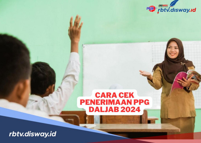 Cara Mengecek Penerimaan PPG  Daljab 2024, Pastikan Anda Masuk Kriteria Prioritas Peserta