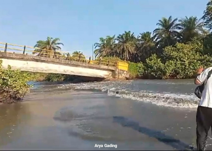 Abrasi Laut Semakin Mengganas, Jalan Provinsi di Ilir Talo Terancam Kembali Putus