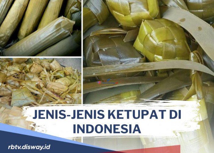 Jenis ketupat yang ada di Indonesia