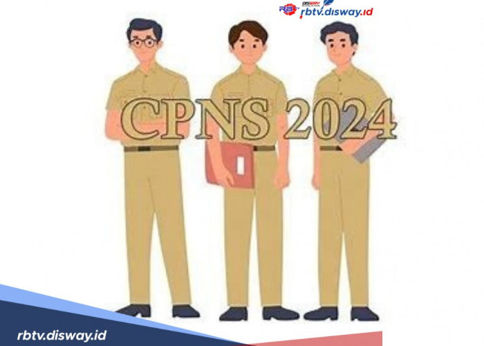 Ada Banyak Formasi Kosong di CPNS 2024, Peluang Besar Jadi ASN