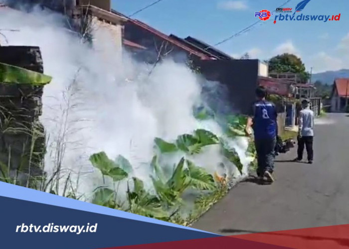 Warga Rejang Lebong Wajib Waspada, Kasus DBD Meningkat