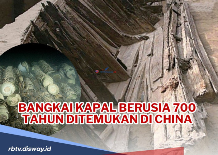 Wow! Bangkai Kapal Berusia 700 Tahun Ditemukan di China Berisi Harta Karun, Apa saja Isinya?