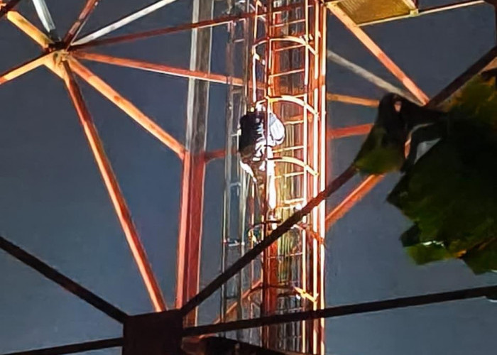 Heboh Ada Gadis Muda di Kepahiang Panjat Tower Malam Hari