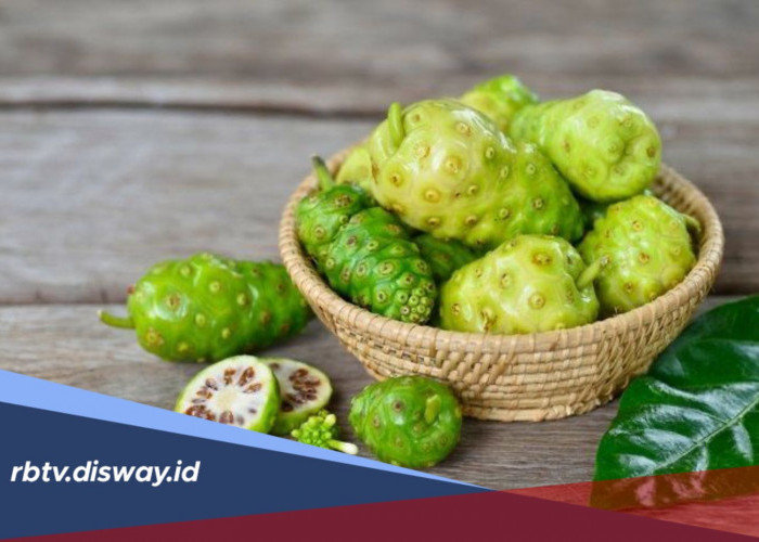 Manfaat Buah Mengkudu untuk Kecantikan, Rahasia Alami yang Sering Diremehkan