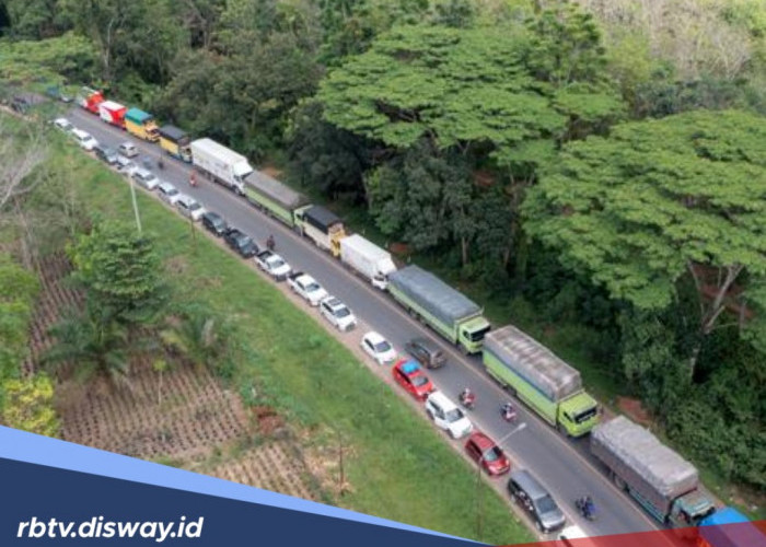 Mudik Lewat Jalintim Palembang-Jambi? Ini Jalan Alternatif jika Jalan di Betung Macet