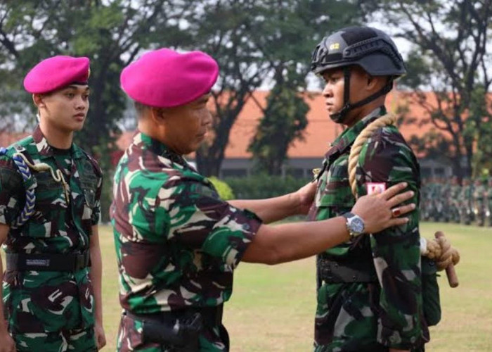Rekrutmen Tamtama TNI AL Tahun 2024, Ini Rincian Gaji dan Tunjangan dari Pangkat Terendah hingga Tertinggi 