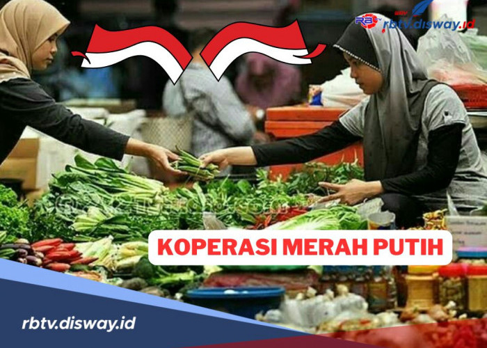 Sudah Tahu Belum, Ini Jenis Usaha Koperasi Desa/Kelurahan Merah Putih Berdasarkan KLBI