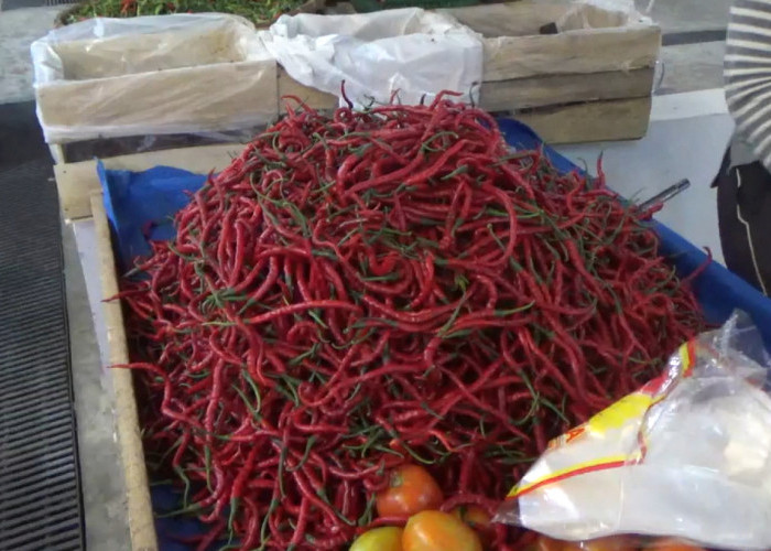 Harga Cabai Merah di Pasar Purwodadi Argamakmur Makin Pedas