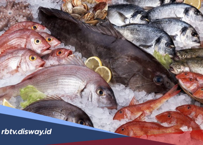 5 Jenis Ikan yang Tidak Boleh Dikonsumsi Penderita Asam Urat