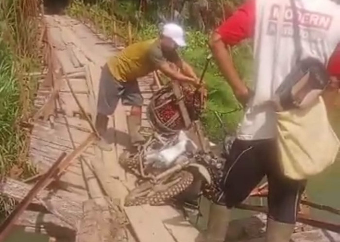 Papan Jembatan Gantung Desa Padang Merbau Patah, Driver Ojek Sawit Terjun ke Sungai Air Seluma 
