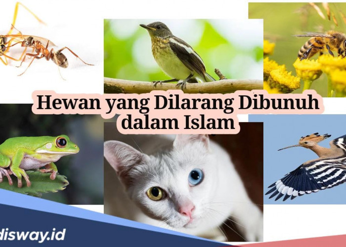 6 Hewan Ini Dilarang Dibunuh dalam Islam, Tidak hanya Semut Ada juga Katak
