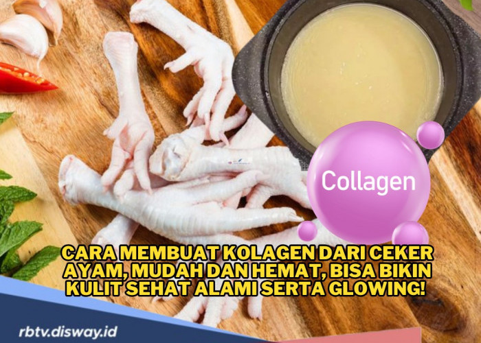 Cara Membuat Kolagen dari Ceker Ayam, Coba dan Rasakan Khasiatnya