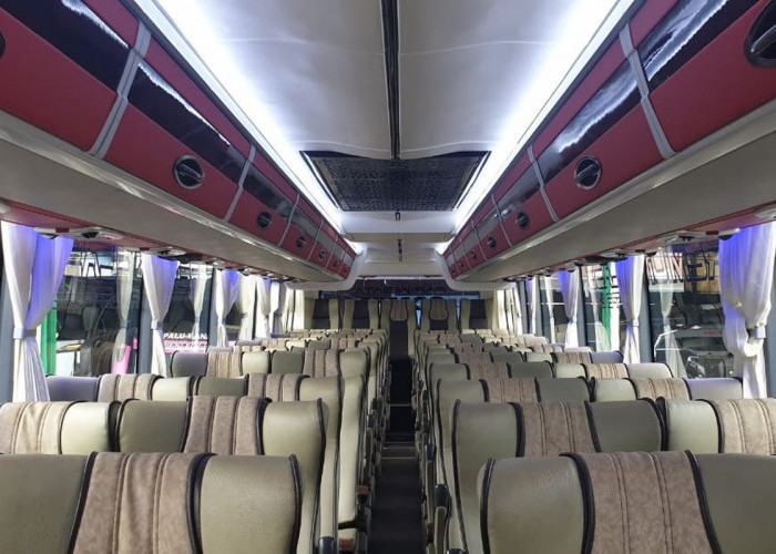 Jangan Salah Pilih, Ini Posisi Tempat Duduk Paling Aman di Bus