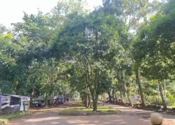 Gandeng Pihak Ketiga, Taman Remaja akan Dibangun Arena Rekreasi    