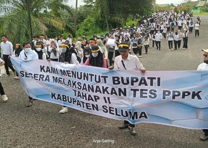 Ratusan Honorer Berunjuk Rasa di Kantor Bupati Seluma Tolak Pembatalan Seleksi PPPK 2024 Tahap II