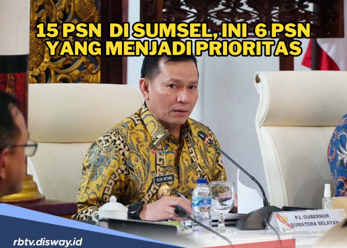 Ada 15 Proyek Strategis Nasional di Sumatera Selatan, Proyek Mana yang Diprioritaskan?