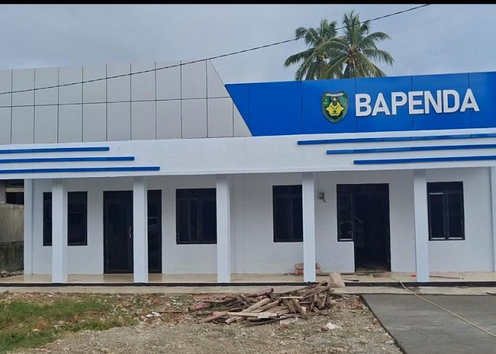 Hanya Ada 7 ASN di Bapenda Bengkulu Selatan, Target PAD 2025 Sebesar Rp 31 M Apakah Tembus