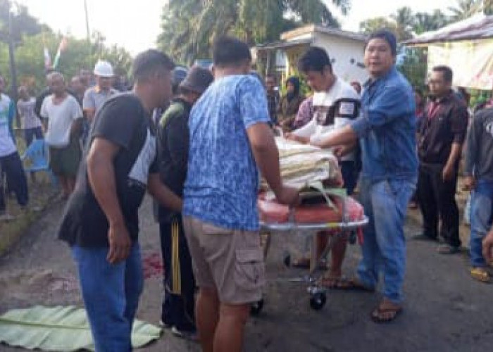 Berkendara Tanpa Helm, Karyawan Perkebunan Kelapa Sawit Terjatuh Lalu Meninggal Dunia