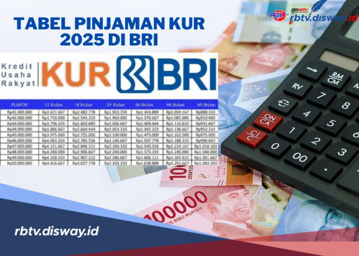 Tabel Pinjaman KUR BRI 2025, Pinjaman Rp 250 Juta, Cek Angsuran, Syarat serta Caranya   