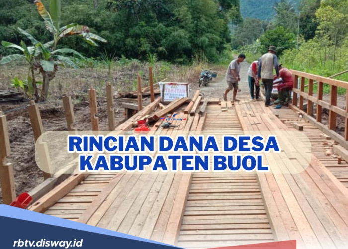 Rincian Dana Desa Kabupaten Buol, Sulawesi Tengah 2024 di 108 Desa, Mana Desa dengan Total Dana Terbesar?