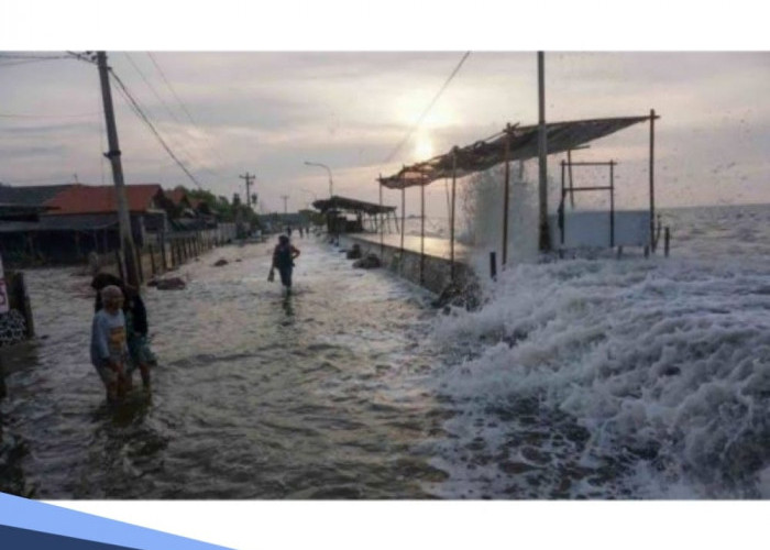 Waspada! 5 Wilayah Ini Berpotensi Banjir Rob Selama 10 Hari, Cek Info Lengkapnya di Sini