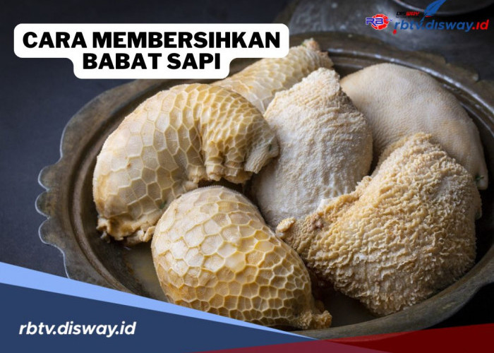 Begini Cara Mudah Membersihkan Babat Sapi, Cukup Gunakan Bahan Dapur