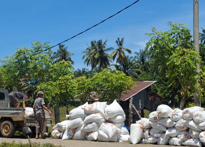 Kadis Pertanian Mukomuko Minta Masyarakat Cepat Lapor jika Pupuk Subsidi Dijual ke Petani Sawit
