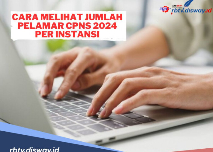 Begini Cara Melihat Jumlah Pelamar CPNS 2024 Per Instansi Secara Online