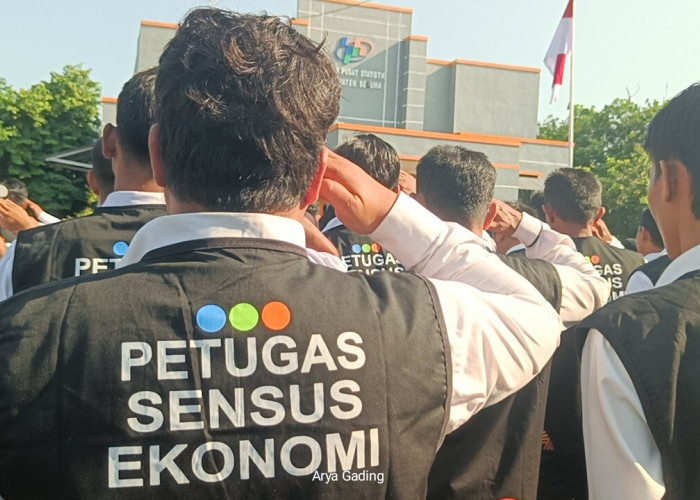 BPS Seluma Terjunkan 238 Petugas Sensus Ekonomi, Segini Gaji yang Diterima