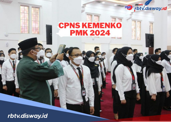 Kemenko PMK juga Buka Penerimaan CPNS 2024, Berapa Formasi dan Apa Syaratnya?