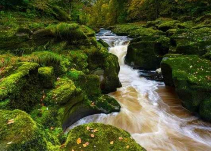 Masyaallah, 4 Sungai di Bumi Ini Mengalir dari Surga, Salah Satunya Tanda Kiamat