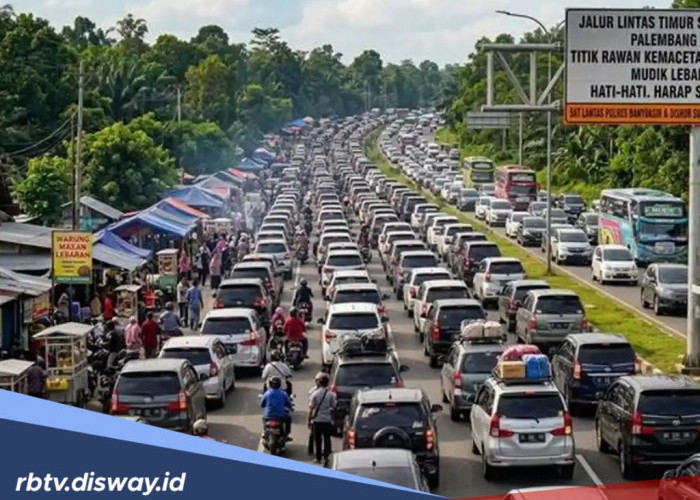 Ini Penyebab Jalan Lintas Timur Ruas Palembang–Betung Terkenal Sering Macet