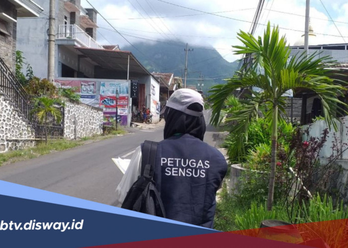Lulus Rekrutmen tapi Tidak Terpilih Jadi Petugas Sensus Ekonomi 2026, Bagaimana?