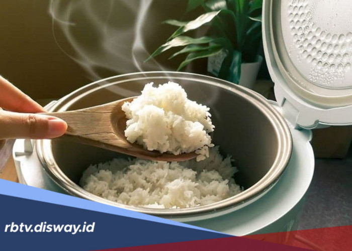 Biar Nggak Mubazir, Ini Rahasia Nasi Tidak Mudah Basi Walaupun di Rice Cooker