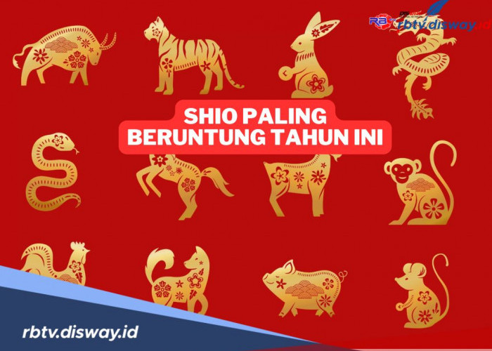 7 Shio Paling Hoki di Tahun 2025, Siap-siap Hidup Makin Cuan dan Bahagia!