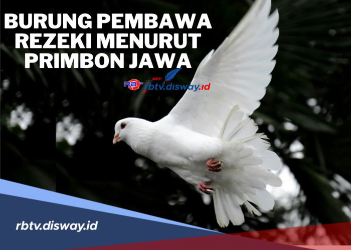 Dijamin Hoki! Ini Burung Pembawa Keberuntungan Menurut Primbon Jawa
