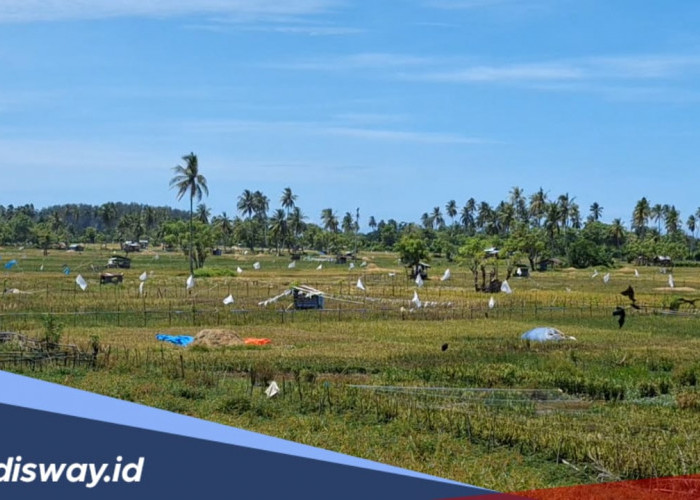 Bendungan Manjunto Kiri Dikeringkan 1 September 2025, Bupati Mukomuko Ajak Petani Gerak Cepat Garap Sawah