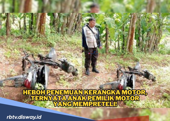 Heboh Penemuan Motor Tinggal Kerangka di Kebun