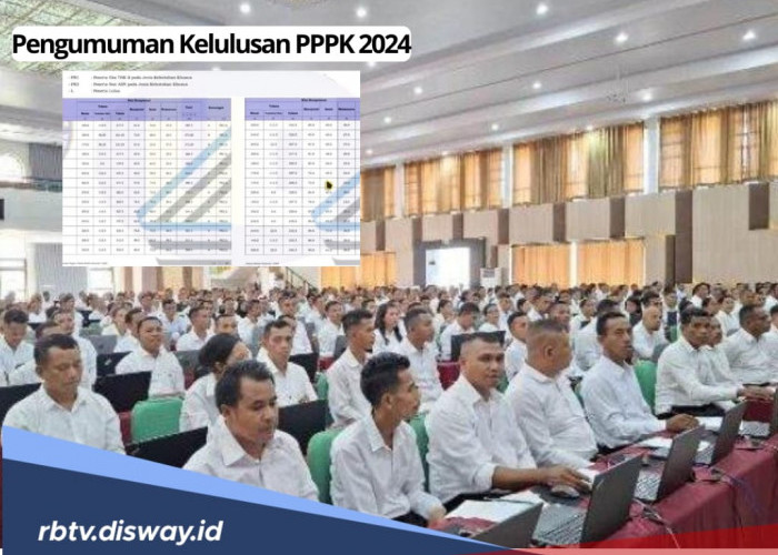 Selamat! Ini Link Pengumuman Kelulusan PPPK 2024 Tahap 1, Cek Namamu