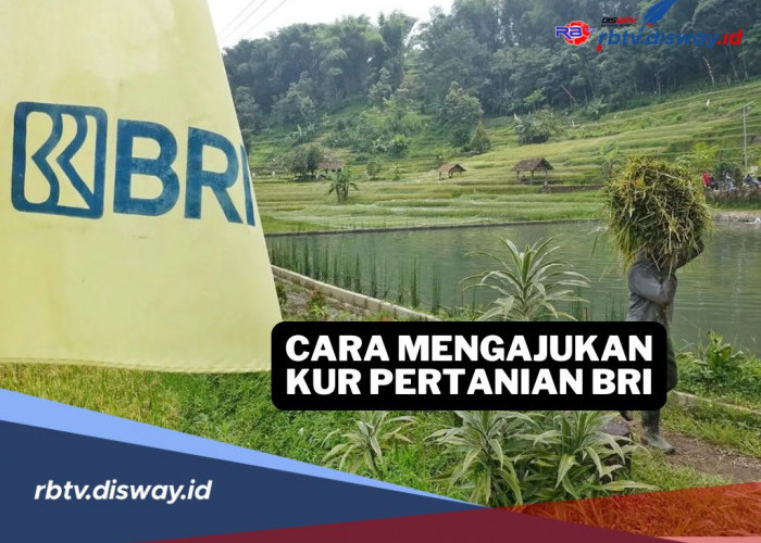 Syarat dan Cara Mengajukan Pinjaman KUR BRI untuk Sektor Pertanian, Lengkap Tabel Angsuran Pinjaman 