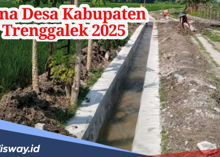 Dana Desa di Kabupaten Trenggalek 2024, Berikut Rinciannya Per Desa