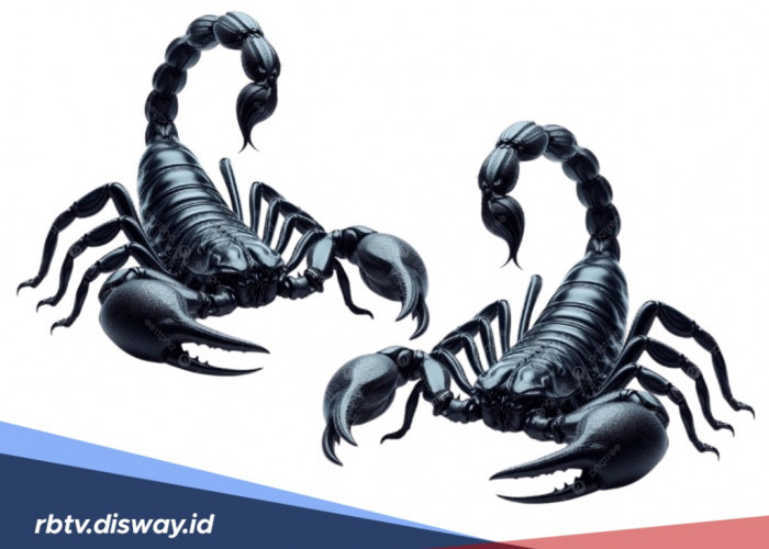 Fakta Unik Kalajengking, Bisa Menahan Napas hingga Enam Hari