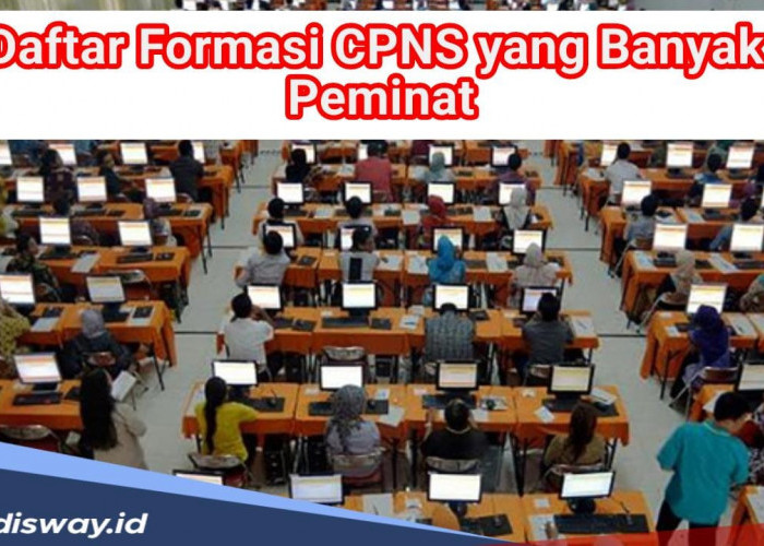 Daftar 5 Formasi CPNS yang Selalu Paling Banyak Diminati dari Tahun ke Tahun