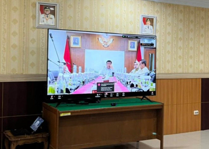 Idul Adha 2026: Bengkulu Dapat 11 Ekor Sapi Kurban dari Presiden Prabowo