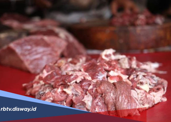 Banyak yang Tanya, Apakah Semua Daging Kurban Harus Langsung Masuk Freezer?