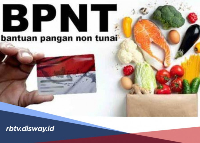 Siap-siap, Bansos BPNT Tahap 3 untuk Bulan Agustus Segera Cair, Cermati Syaratnya  