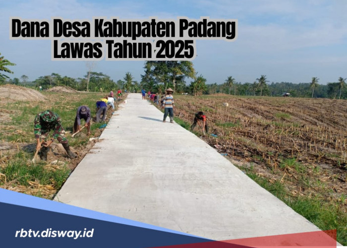 Rincian Lengkap Kucuran Dana Desa Kabupaten Padang Lawas Tahun 2025, Cek Desa Mana Alokasi Tertinggi