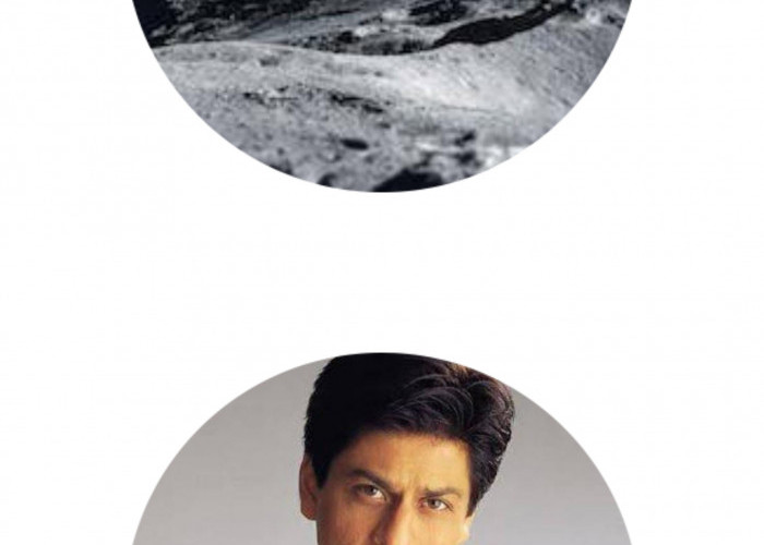 Beli Tanah di Bulan, Ternyata Shah Rukh Khan dan Artis Ini Sudah Duluan Punya, Ada yang Dibelikan Fans Fanatik