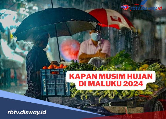 Kapan Musim Hujan di Maluku Tahun 2024? Ini Prediksi BMKG untuk Wilayah Maluku